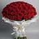 Букет 101 Красная роза Блэк Мэджик в Рогнедино