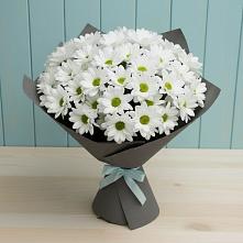 Букет цветов из:  Хризантемы в Рогнедино