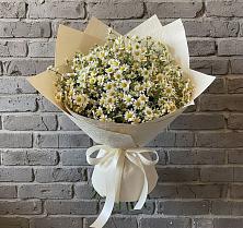 Букет цветов из:  Ромашки в Рогнедино