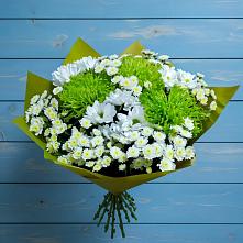 Букет цветов из:  Хризантемы #REPLACE_PRED# Рогнедино