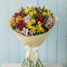 Букет цветов из:  Альстромерии в Рогнедино