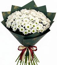 Букет цветов из:  Хризантемы в Рогнедино
