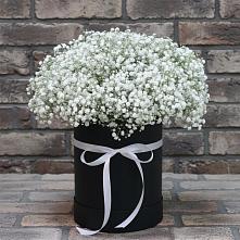 Цветочная композиция из Гипсофила в шляпной коробке в Рогнедино