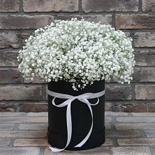 Цветочная композиция из Гипсофила в шляпной коробке в Рогнедино