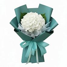 Букет цветов из:  Гортензия в Рогнедино